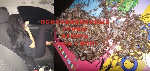 мяу мяу мука Новозыбков