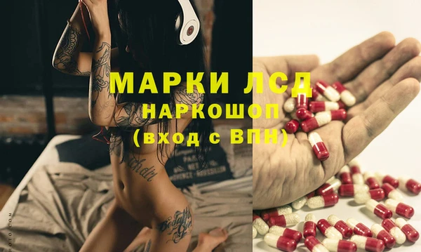 ECSTASY Новодвинск